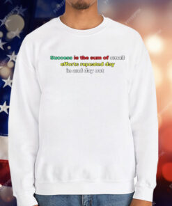 Success Is The Sum Of Small Efforts Repeated Day In And Day Out T-Shirt