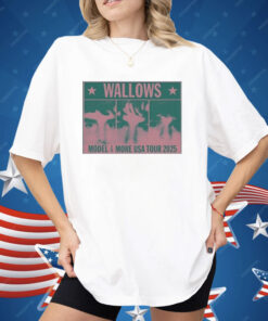 Wallows Model And More USA Tour 2025 Colorblock Faces Shirt
