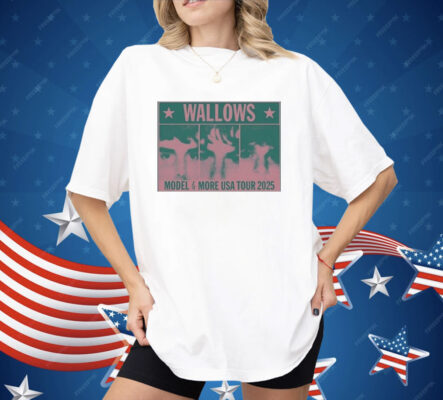 Wallows Model And More USA Tour 2025 Colorblock Faces Shirt