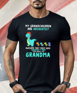 Dragon My Grandchildren Are Absolutely Awesome They Must Have Inherited It From Their Groovy Old Grandma Shirt