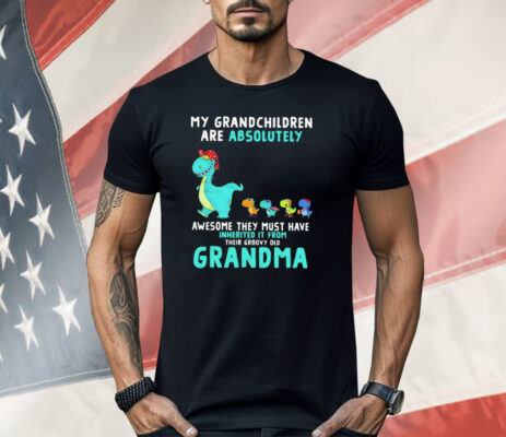 Dragon My Grandchildren Are Absolutely Awesome They Must Have Inherited It From Their Groovy Old Grandma Shirt 