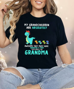 Dragon My Grandchildren Are Absolutely Awesome They Must Have Inherited It From Their Groovy Old Grandma Shirt