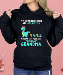 Dragon My Grandchildren Are Absolutely Awesome They Must Have Inherited It From Their Groovy Old Grandma Shirt