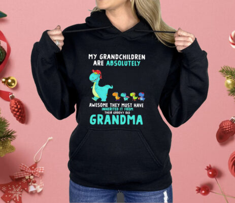 Dragon My Grandchildren Are Absolutely Awesome They Must Have Inherited It From Their Groovy Old Grandma Shirt 