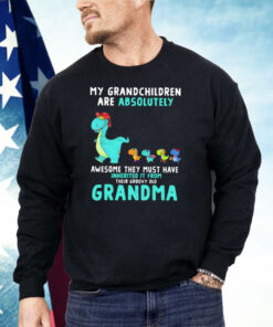 Dragon My Grandchildren Are Absolutely Awesome They Must Have Inherited It From Their Groovy Old Grandma Shirt
