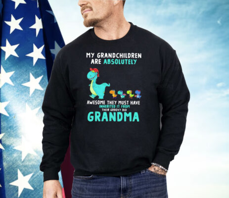 Dragon My Grandchildren Are Absolutely Awesome They Must Have Inherited It From Their Groovy Old Grandma Shirt 