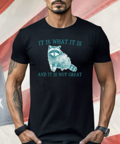 It Is What It Is Raccoon And It Is Not Great Shirt