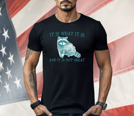 It Is What It Is Raccoon And It Is Not Great Shirt