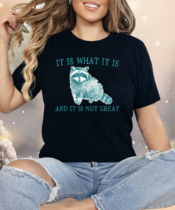It Is What It Is Raccoon And It Is Not Great Shirt