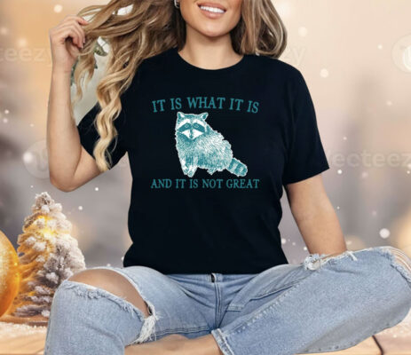 It Is What It Is Raccoon And It Is Not Great Shirt