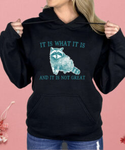 It Is What It Is Raccoon And It Is Not Great Shirt