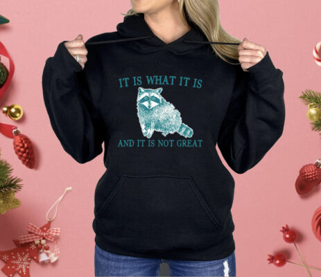 It Is What It Is Raccoon And It Is Not Great Shirt