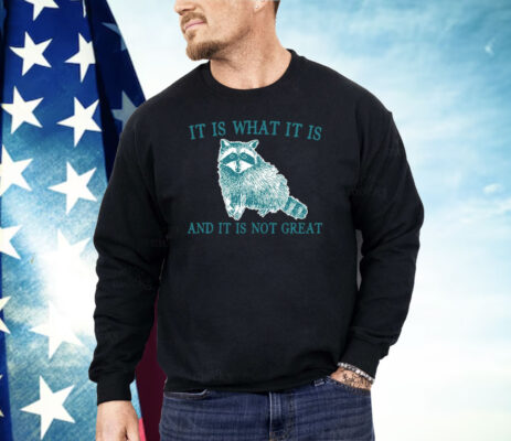 It Is What It Is Raccoon And It Is Not Great Shirt